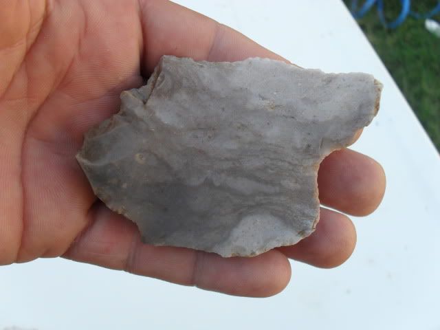 SDC10362.jpg