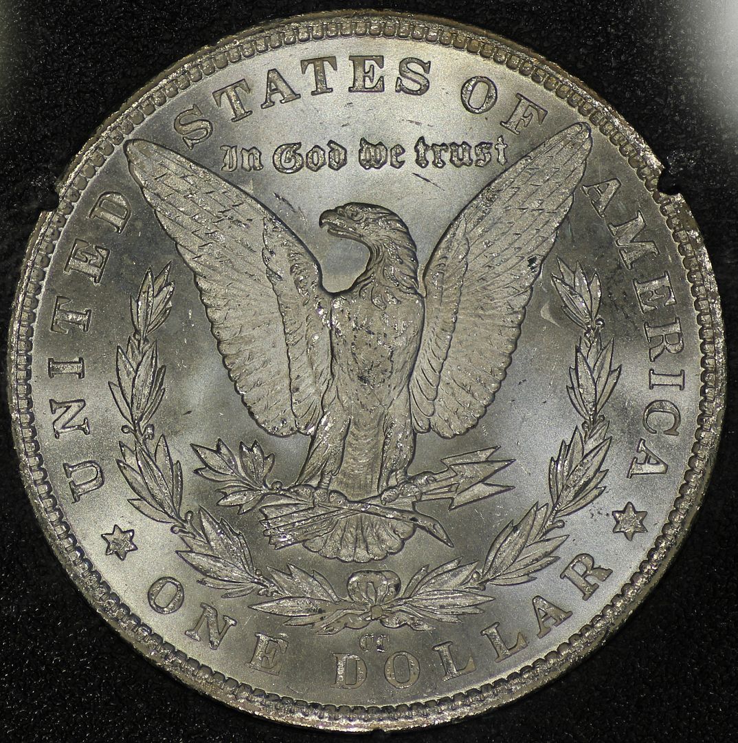 82ccgsavam4rev.jpg