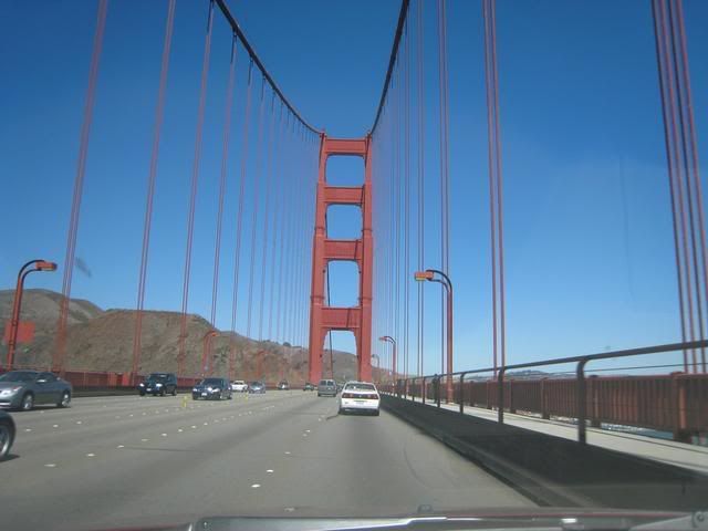 IMG_8765.jpg