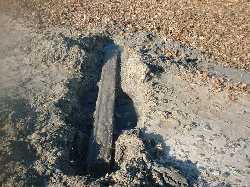 11-29-10beachfinds.jpg