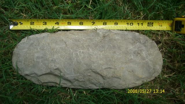 DSCI0890.jpg