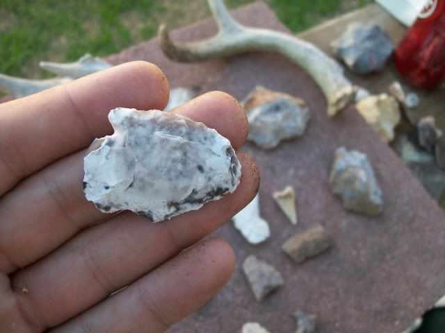 100_0461.jpg