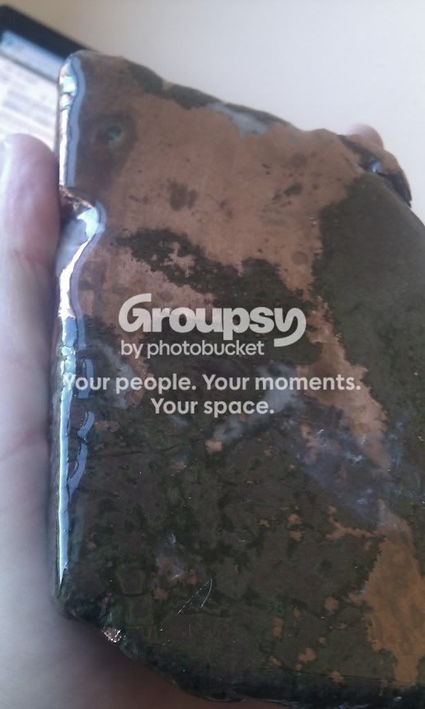 IMAG0341.jpg