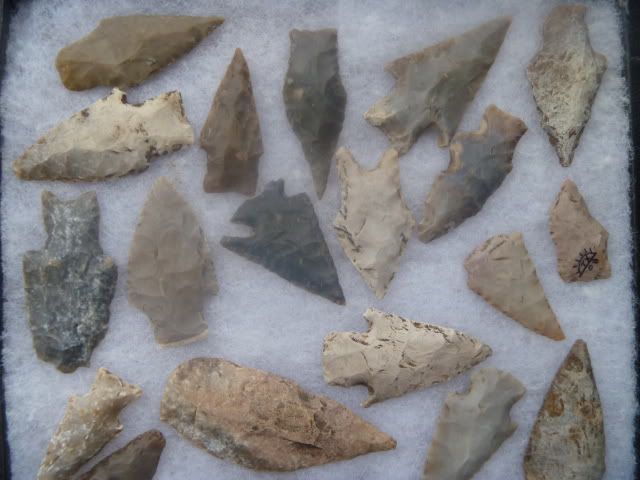 P1050286.jpg