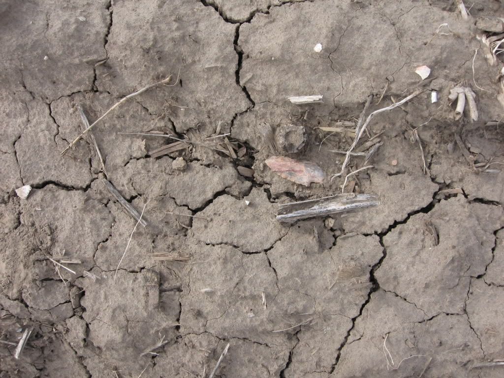 rrowheads3-24-2009001.jpg