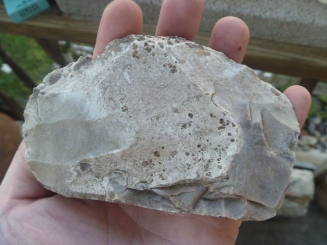 P1060525_zps4a464e06.jpg
