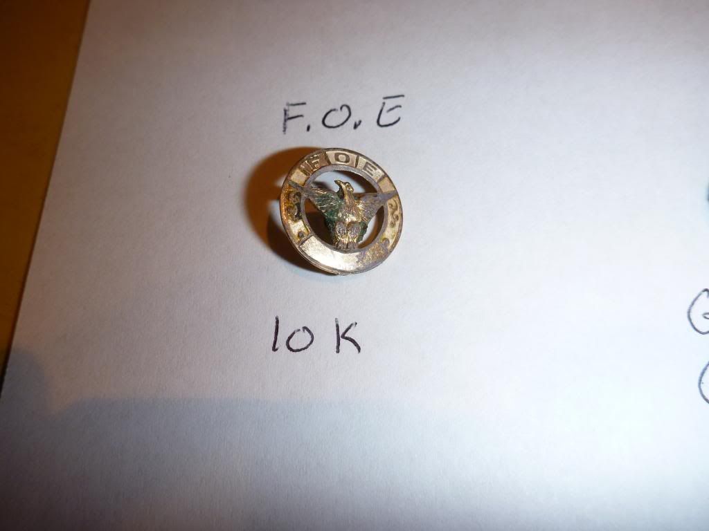 P1010173_zps48793962.jpg