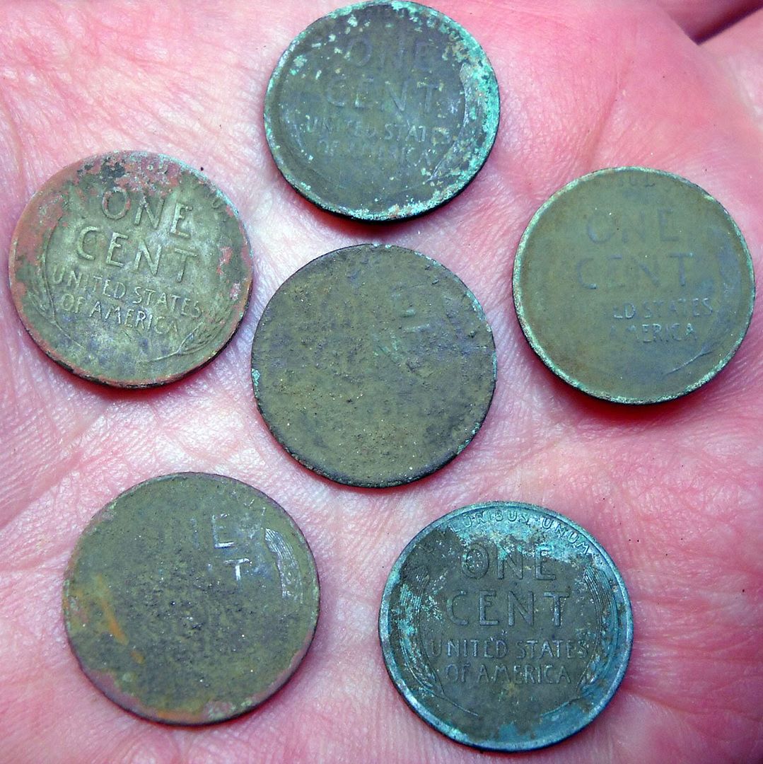 8710_6WheatPennies.jpg