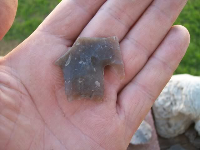 100_0584.jpg