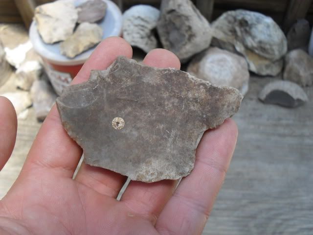SDC10356.jpg
