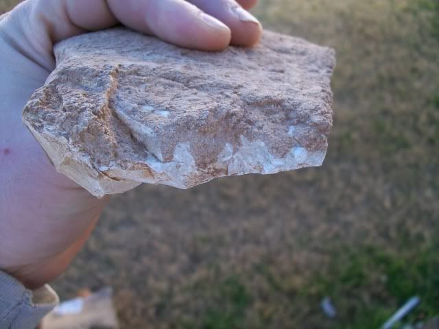 100_0334.jpg
