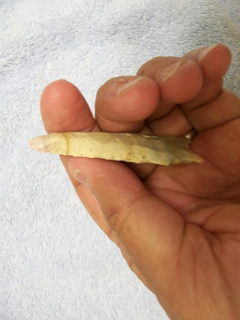 100_3925.jpg