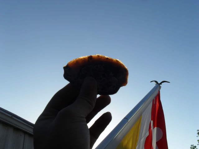 SDC17594.jpg