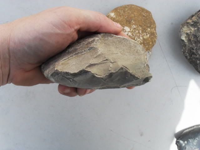 SDC11377.jpg
