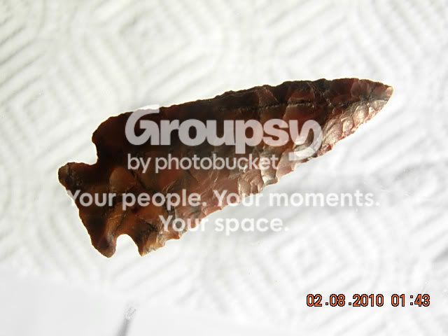 DSCN2639.jpg