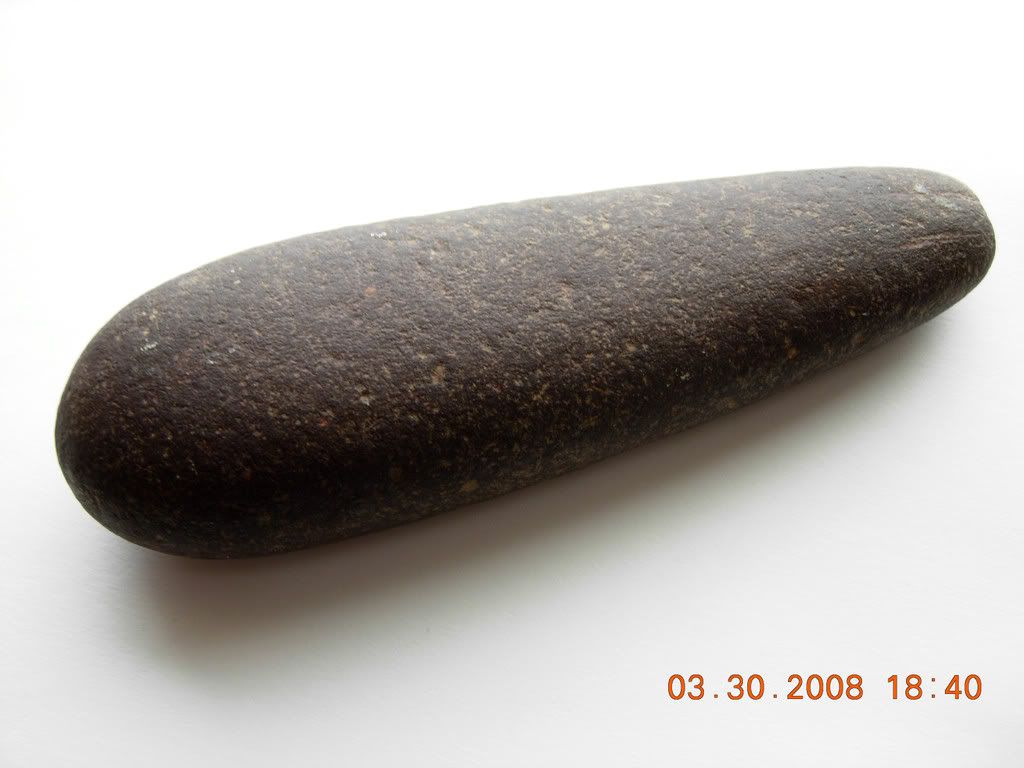 DSCN1091.jpg