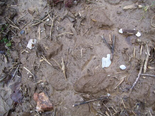 100_1387.jpg