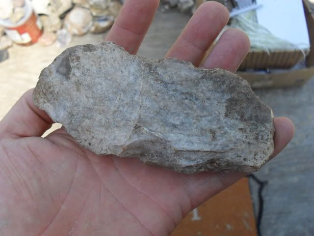 SDC10528.jpg