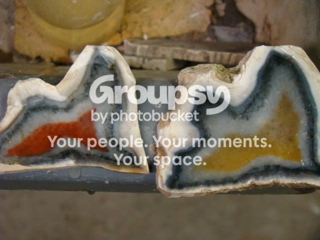 DSC02845.jpg