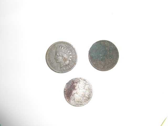 Metal-detecting-6.jpg