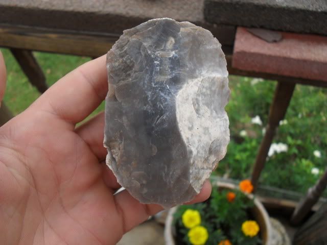 SDC10773.jpg