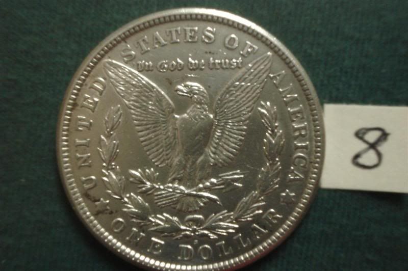 SilverDollars08RLarge.jpg