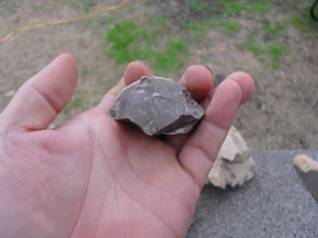 SDC10388.jpg
