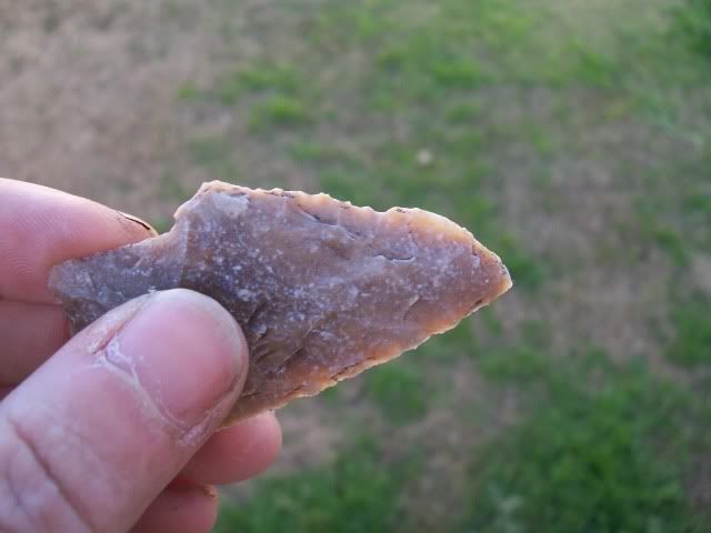100_0433.jpg