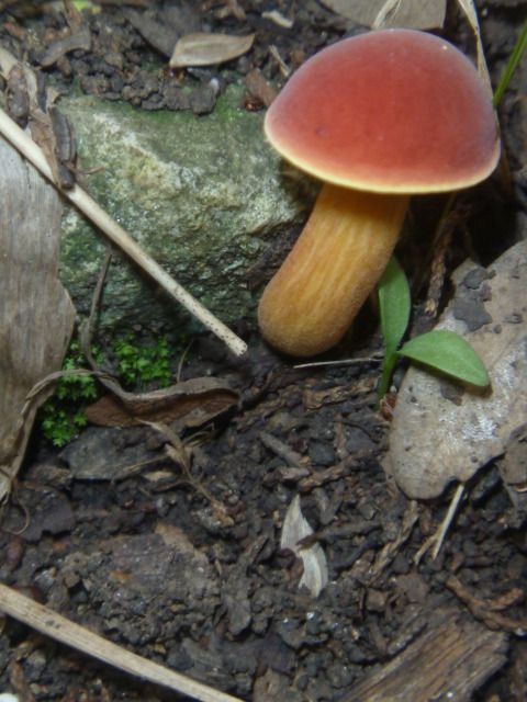 P1060914.jpg