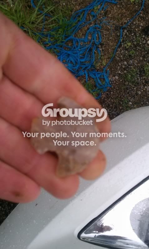 IMAG0981.jpg