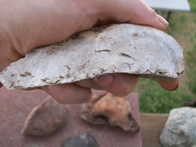 100_0556.jpg