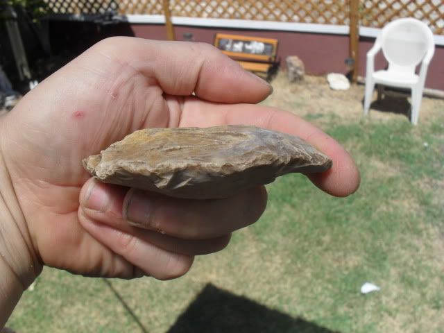 SDC10643.jpg