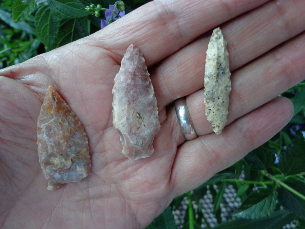 DSC00155.jpg