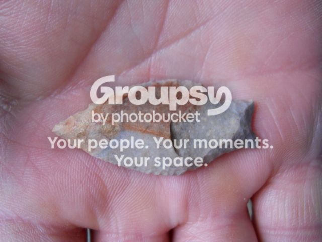 DSCN1198.jpg