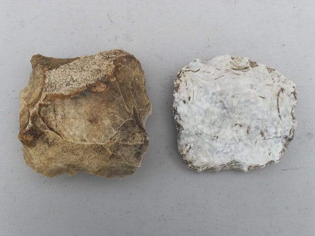 SDC11301.jpg