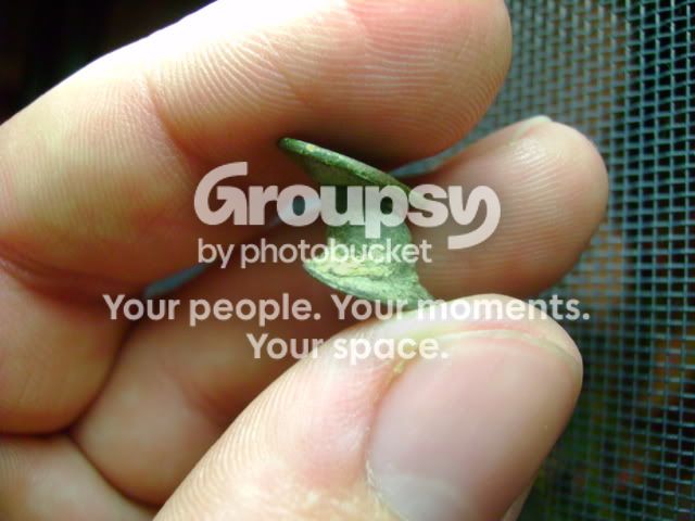 DSC00831.jpg