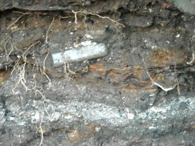 DSCN1427.jpg