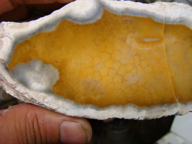 DSC08244.jpg
