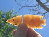 IMG_5708-1.jpg