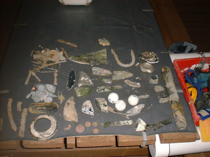 63012beachfinds.jpg