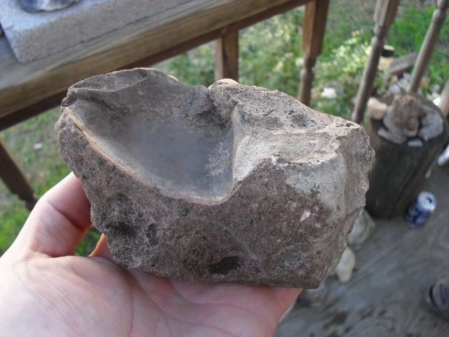 SDC10172.jpg