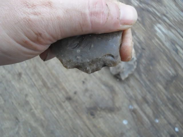 SDC10516.jpg