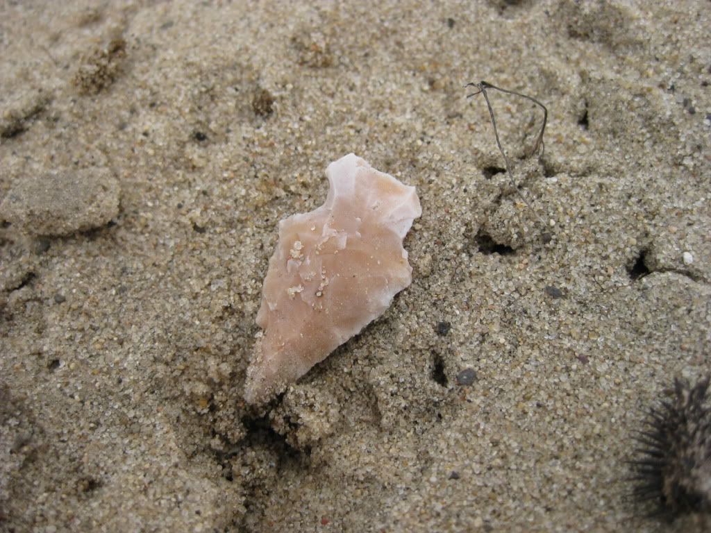 IMG_2130.jpg