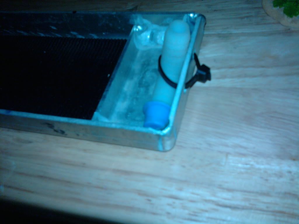 2011-02-28123244.jpg