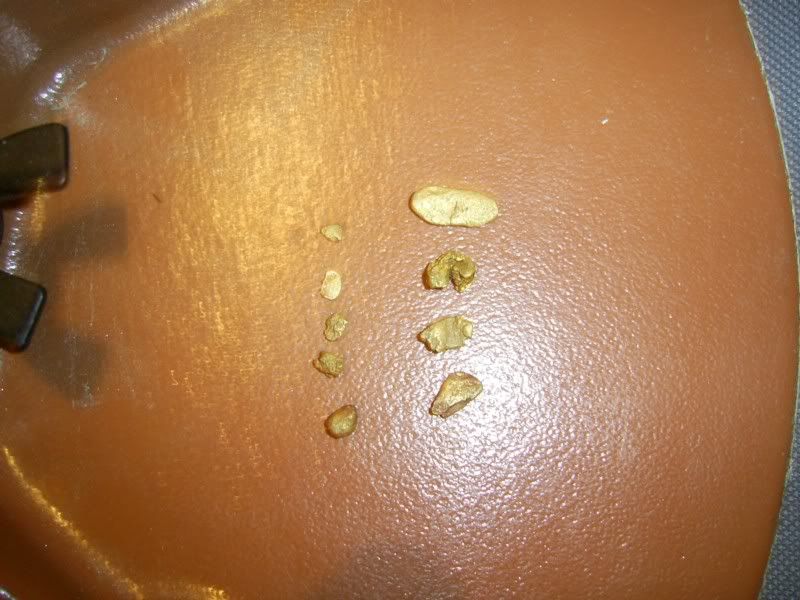 tobinsgoldx91.jpg