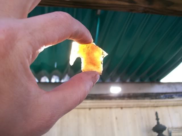 100_0578.jpg