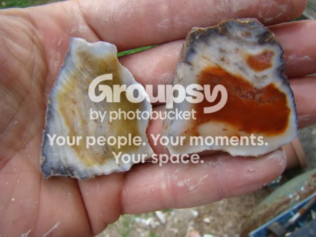 DSC04860.jpg