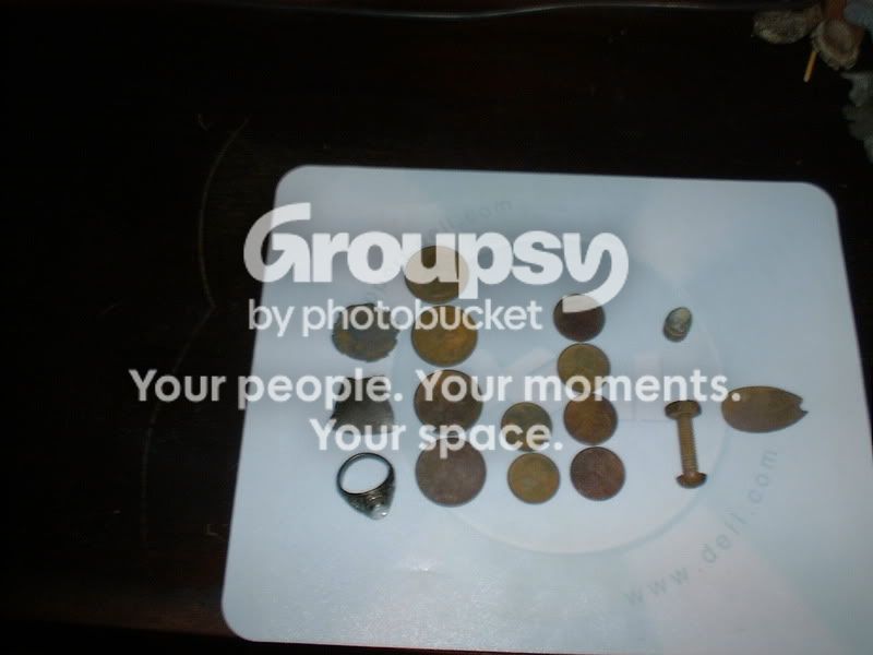 101108beachfinds.jpg