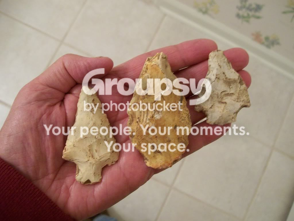 100_5461.jpg