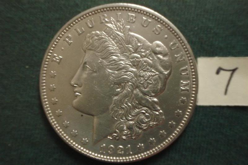 SilverDollars07FLarge.jpg